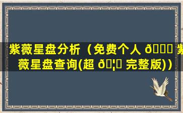 紫薇星盘分析（免费个人 🐘 紫薇星盘查询(超 🦉 完整版)）